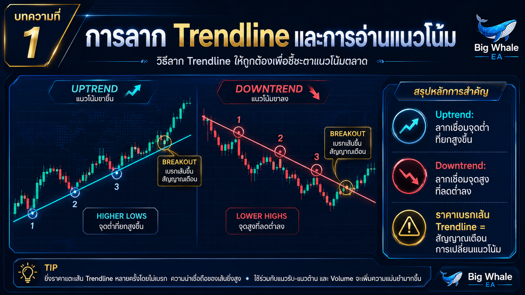 วิธีลาก Trendline ให้ถูกต้องเพื่อชี้ชะตาแนวโน้มตลาด