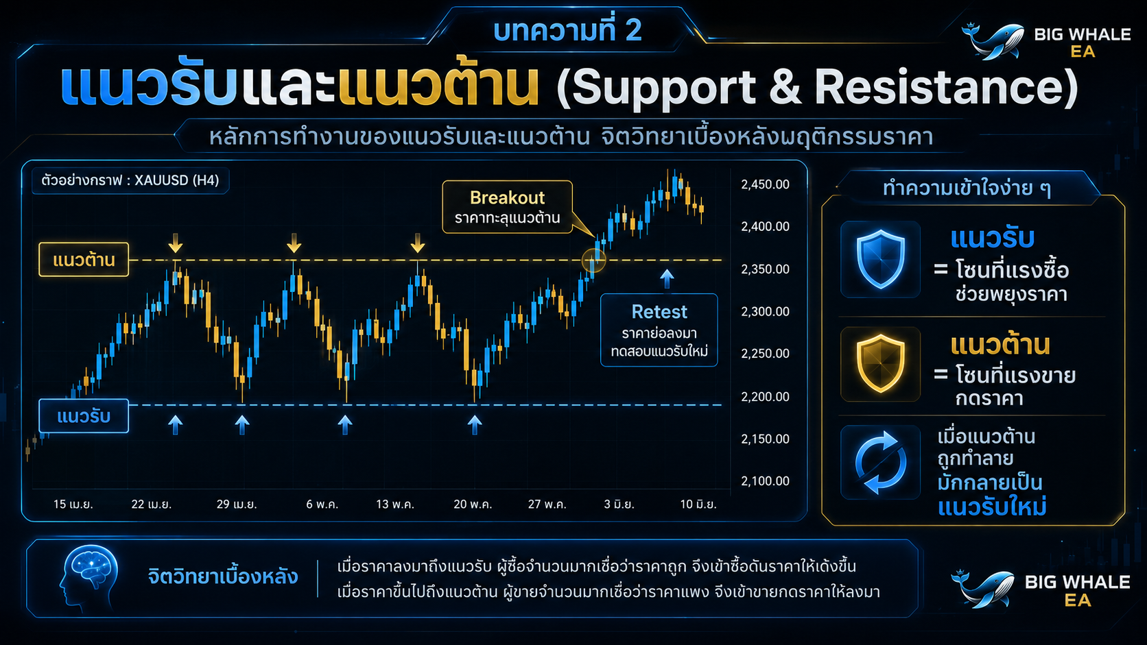 หลักการทำงานของแนวรับและแนวต้าน จิตวิทยาเบื้องหลังพฤติกรรมราคา