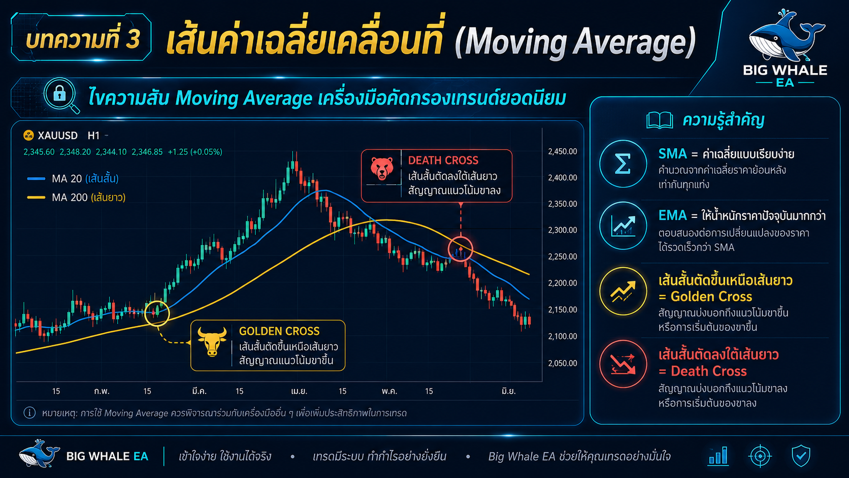 ไขความลับ Moving Average เครื่องมือคัดกรองเทรนด์ยอดนิยม