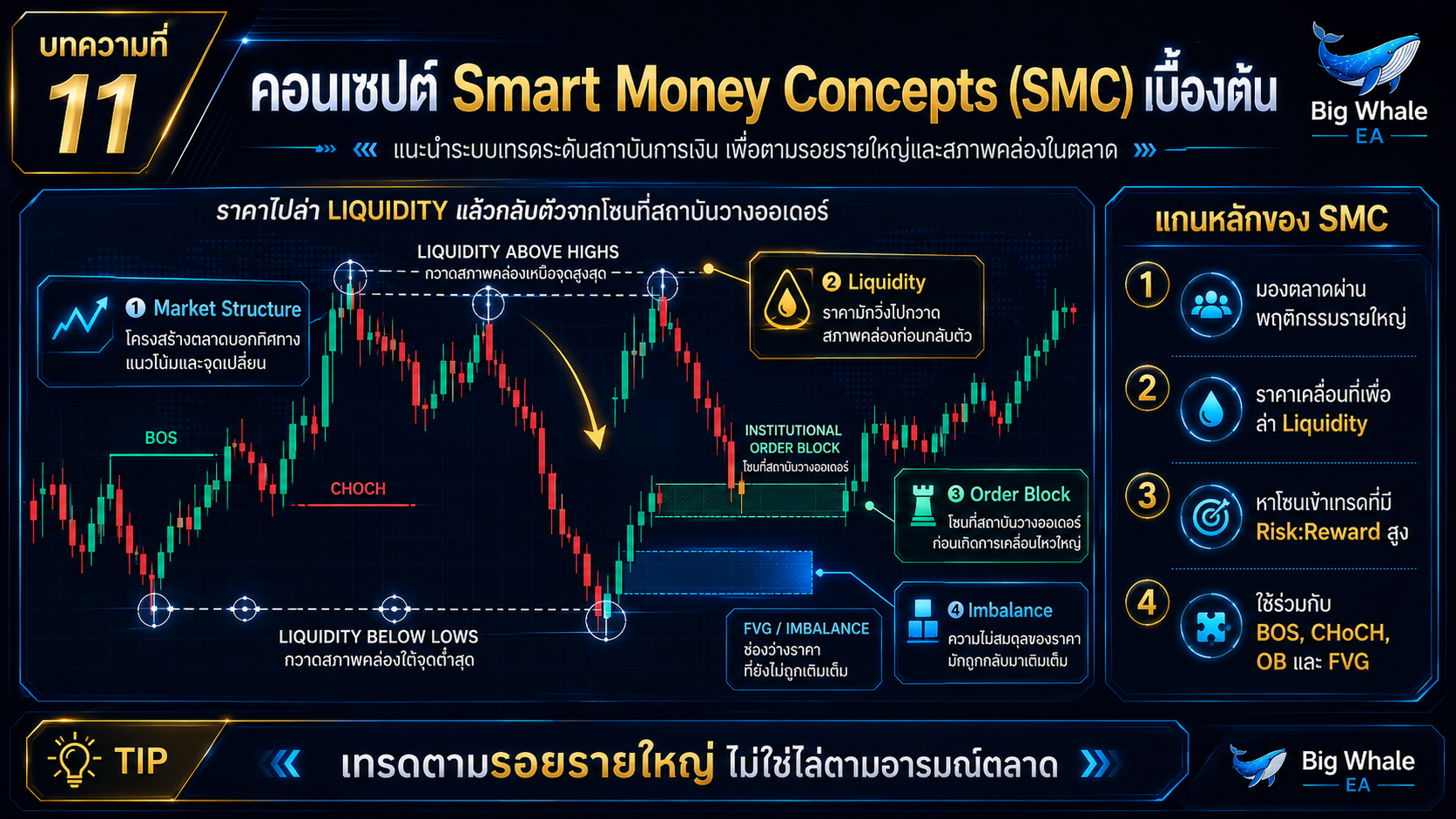 ถอดรหัสกลยุทธ์ SMC ส่องวิธีคิดและการขับเคลื่อนราคาของรายใหญ่
